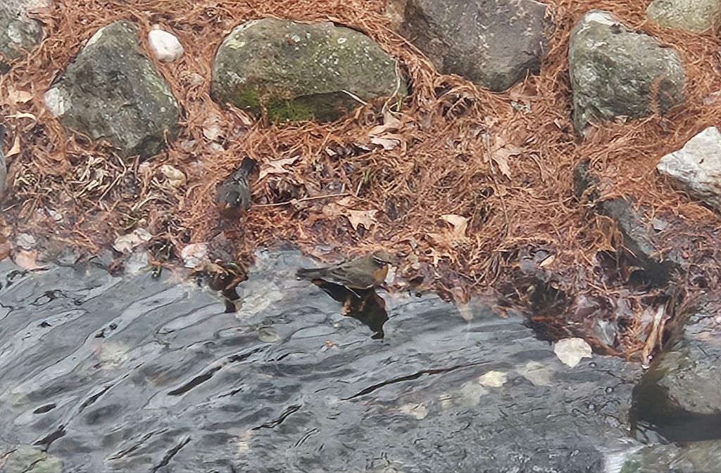 20260102_1149381425599749747052735